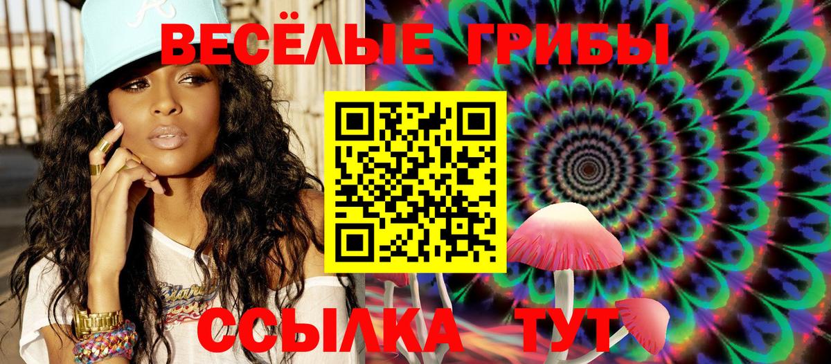 Псилоцибиновые грибы Psilocybe  Псилоцибиновые грибы GOLDEN TEACHER  Нижневартовск  Вход с VPN 