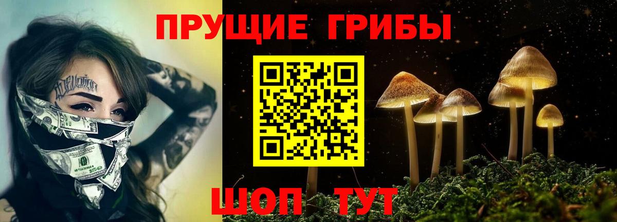 Псилоцибиновые грибы Cubensis Нижневартовск